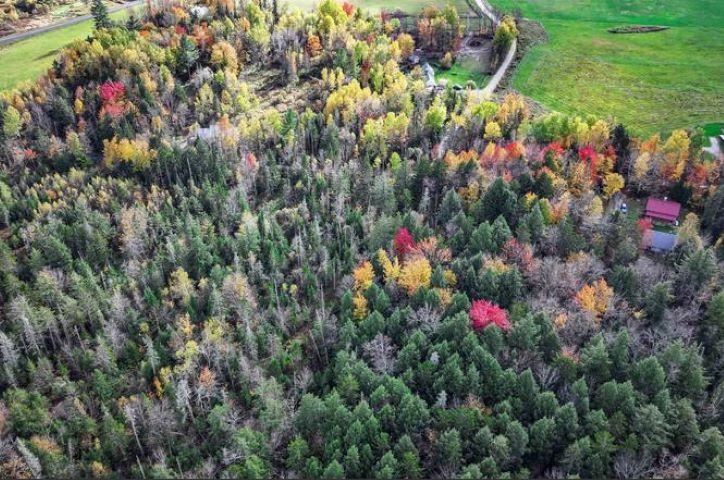 1021 Woods Road Warren, VT 05674 - Photo 13 of 24