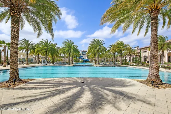a view of a yard and a palm tree