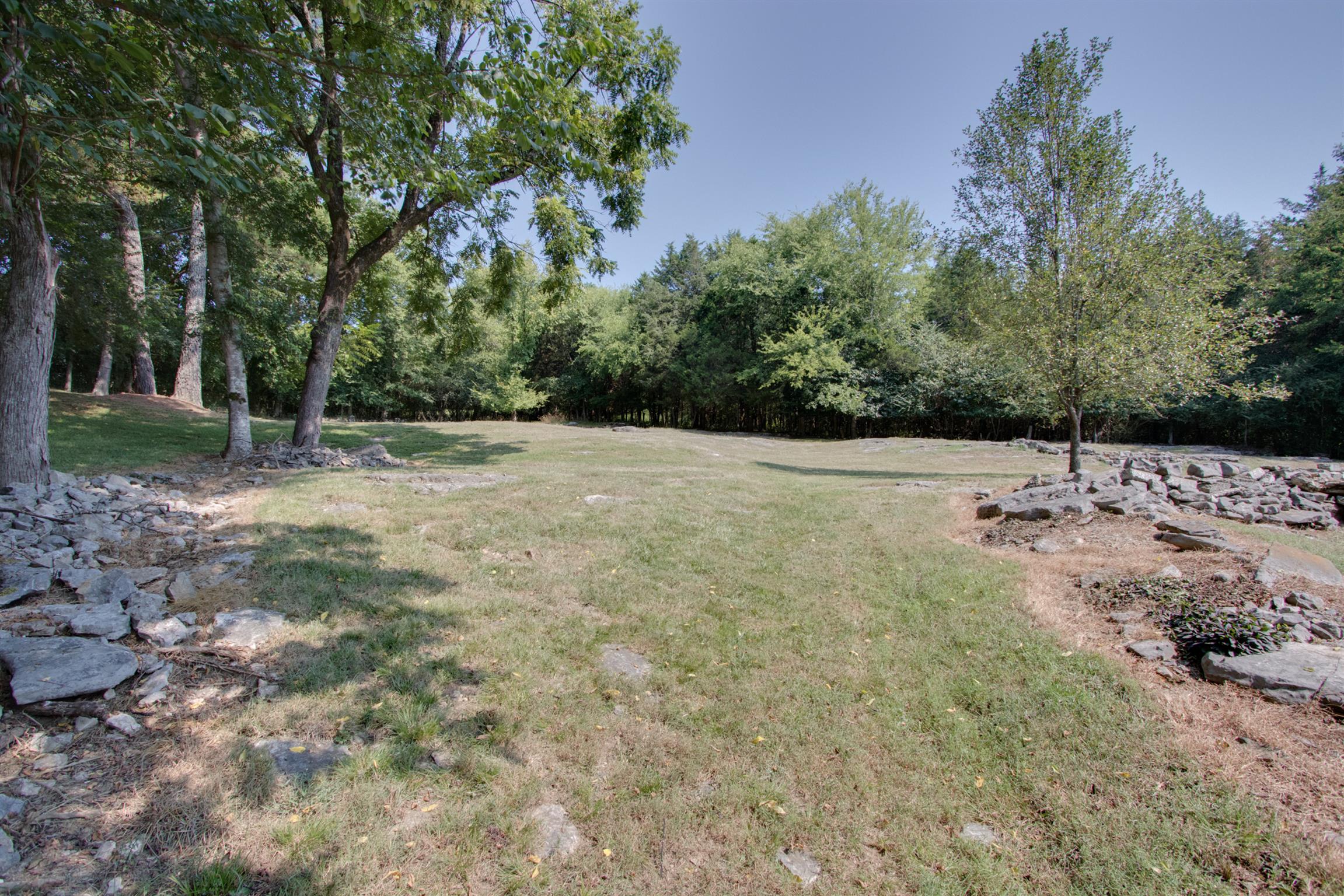 200 East Buffalo Road Carthage, TN 37030 - Photo 25 of 30 a view of a yard with a tree