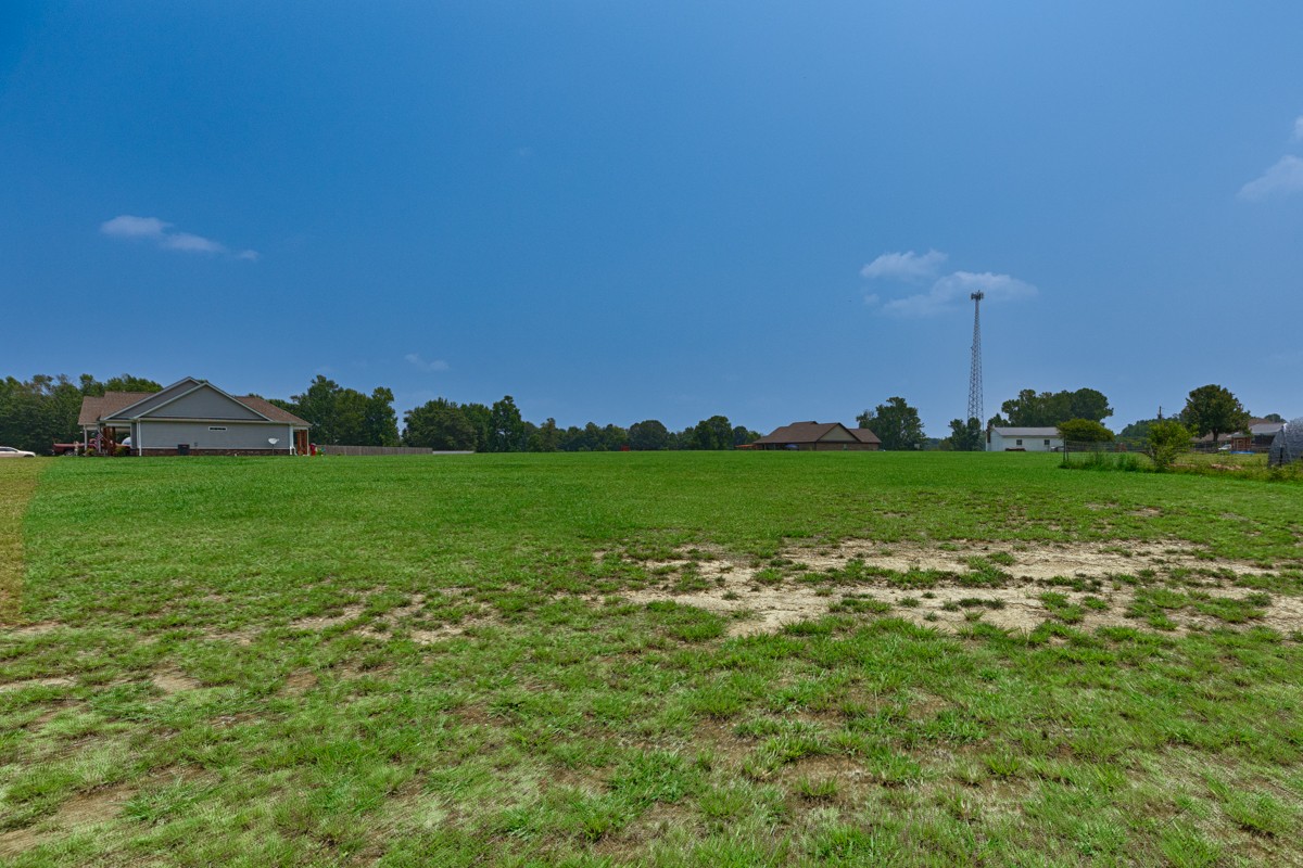 28600 Reyer Road Ardmore, AL 35739 - Photo 19 of 28 a view of a grassy field with an trees
