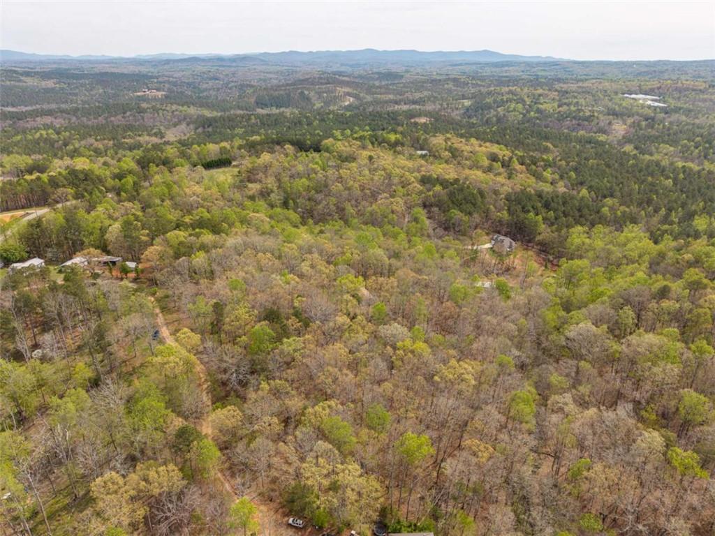 3467 Carver Mill Road Talking Rock, GA 30175 - Photo 12 of 23