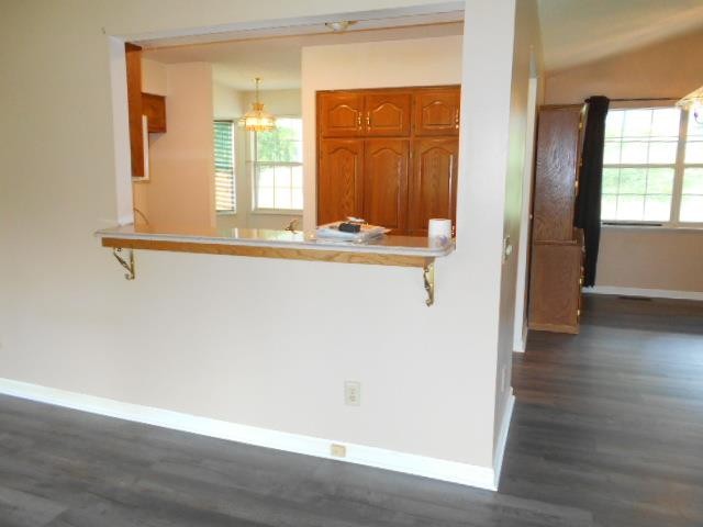 528 Sable Road Spring City, TN 37381 - Photo 6 of 24 Gallery Image 6