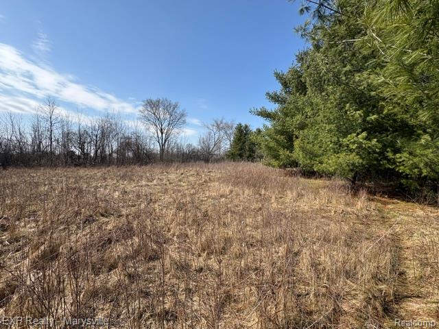 6919 Emmett Road Yale, MI 48097 - Photo 10 of 15