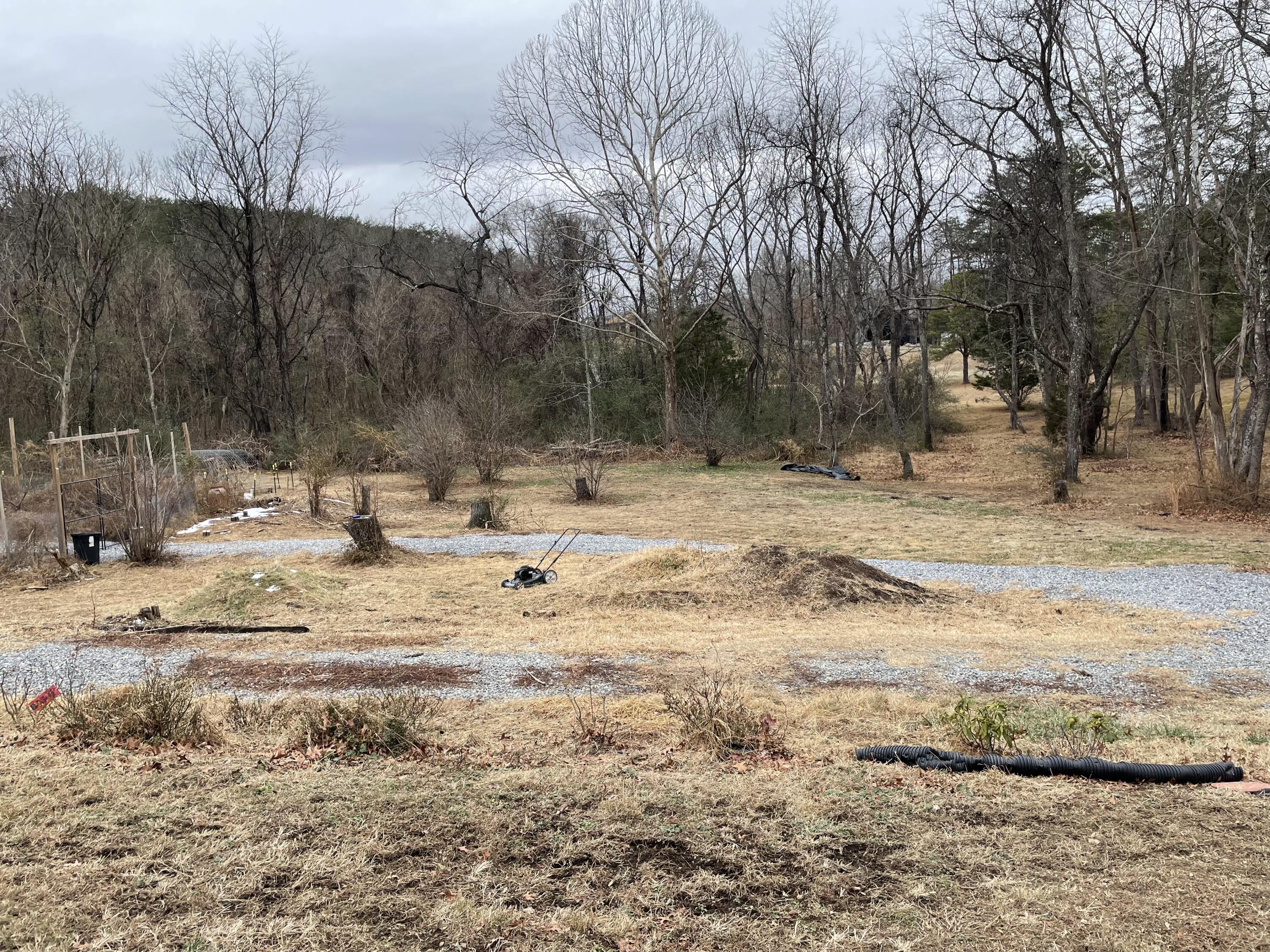 3120 Carvins Cove Road Salem, VA 24153 - Photo 63 of 65 IMG_7274