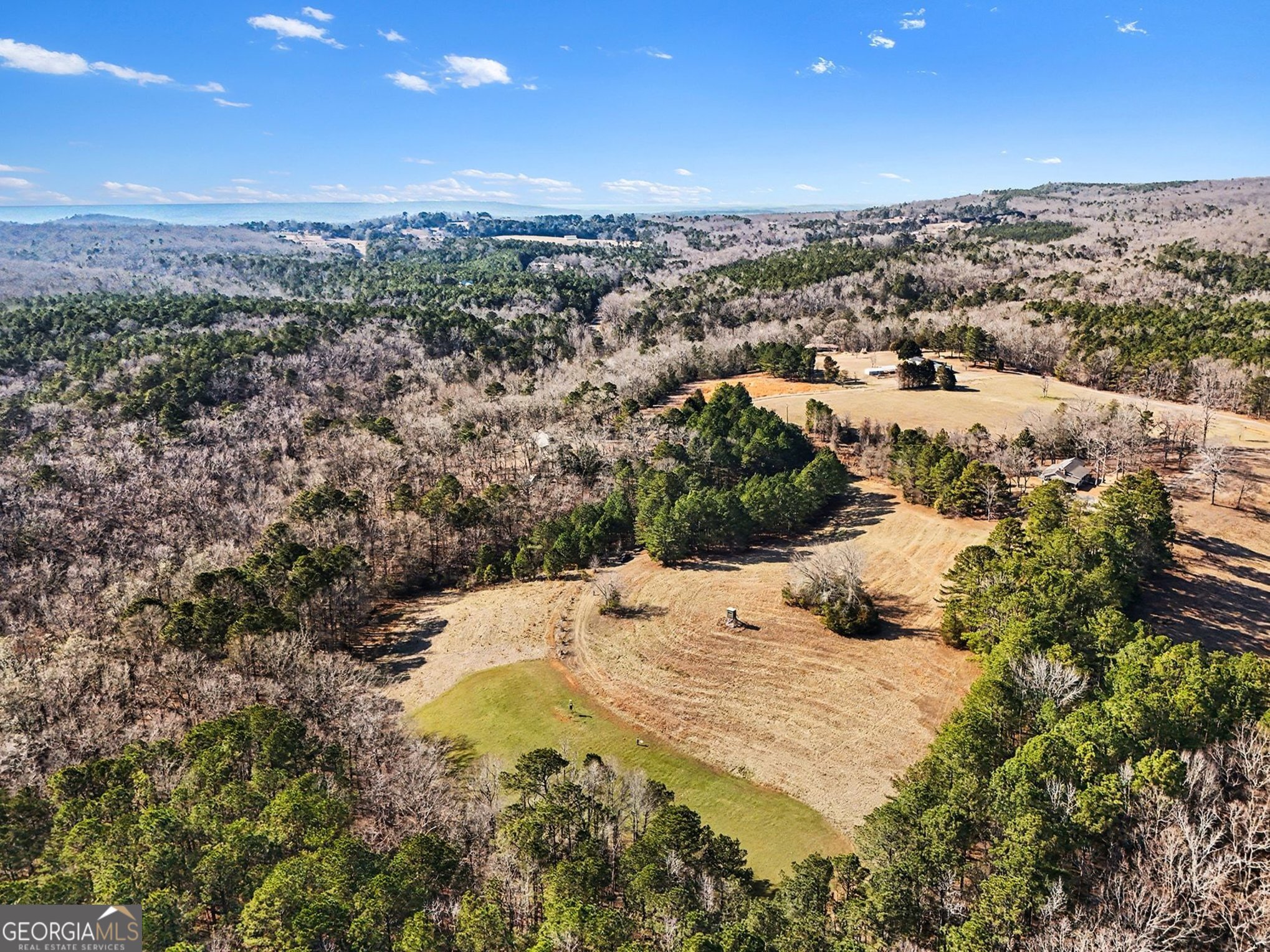 0 Vineyard Road Thomaston, GA 30286 - Photo 6 of 40