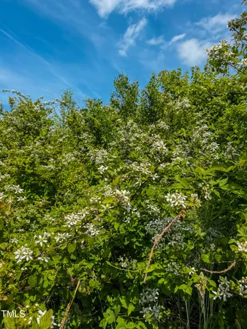 a view of a green field