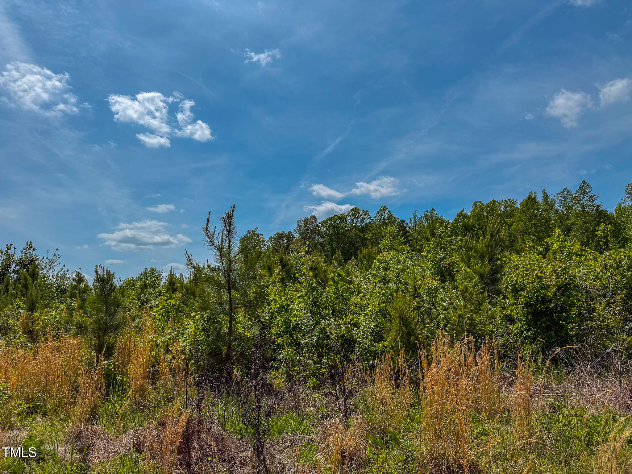 167.10 Leasburg Road Roxboro, NC 27573 - Photo 12 of 26 a view of a flower in a garden