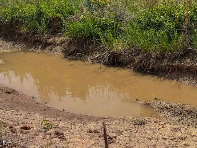 a view of a field with an ocean