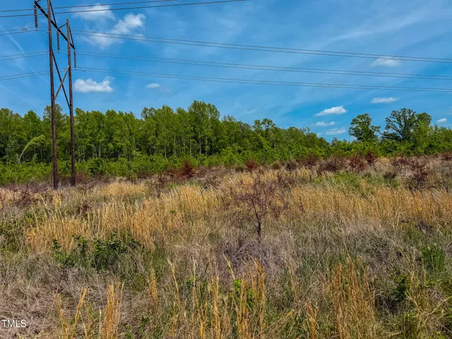 a close up of a plant in a garden
