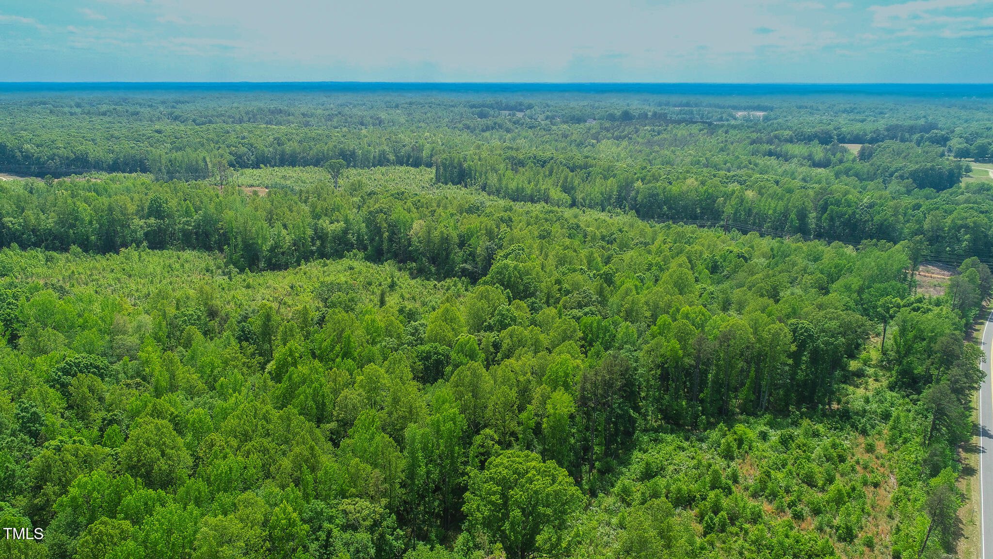 167.10 Leasburg Road Roxboro, NC 27573 - Photo 21 of 26 a view of a green field with lots of bushes