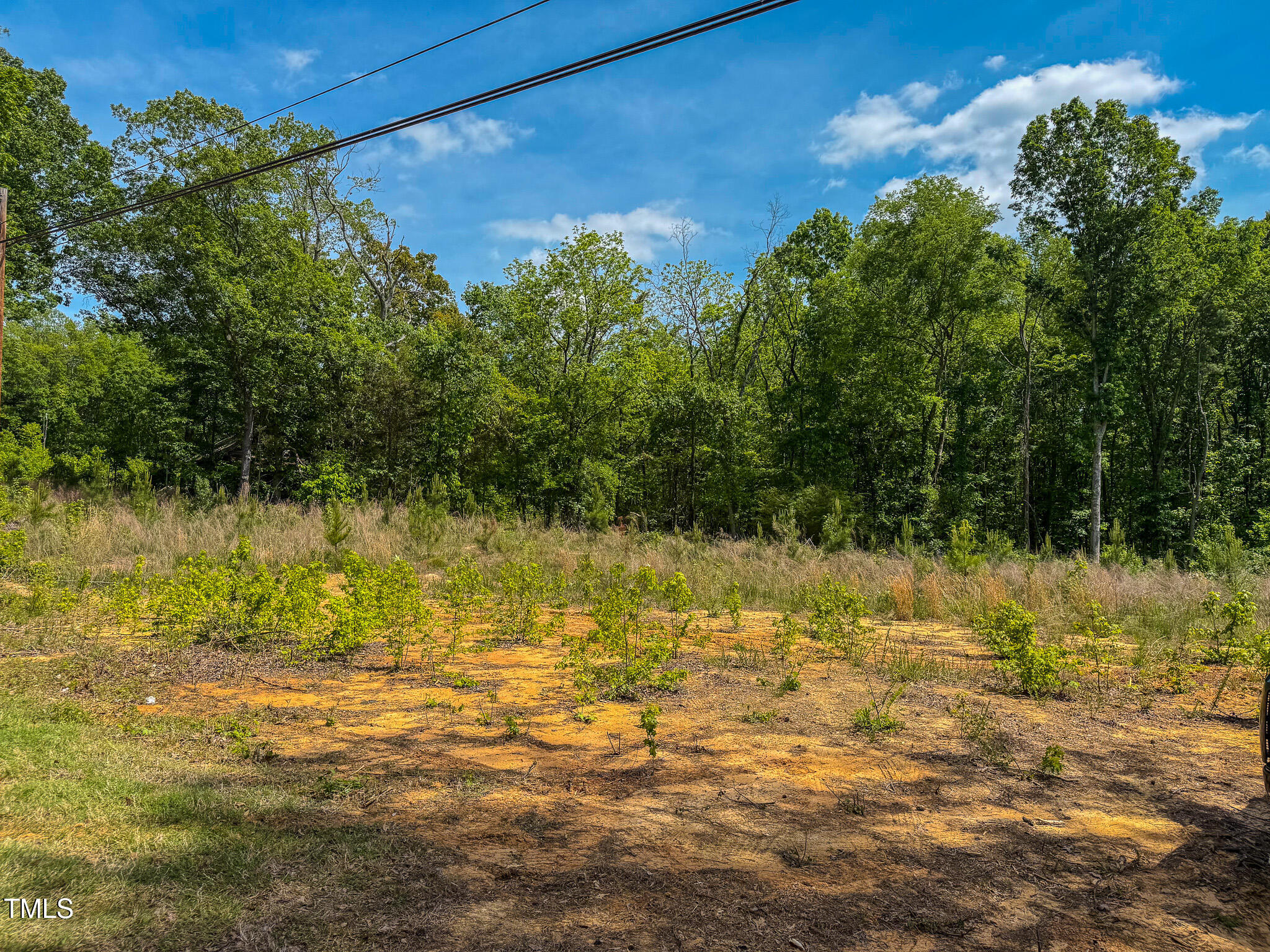 167.10 Leasburg Road Roxboro, NC 27573 - Photo 22 of 26 a view of lake view