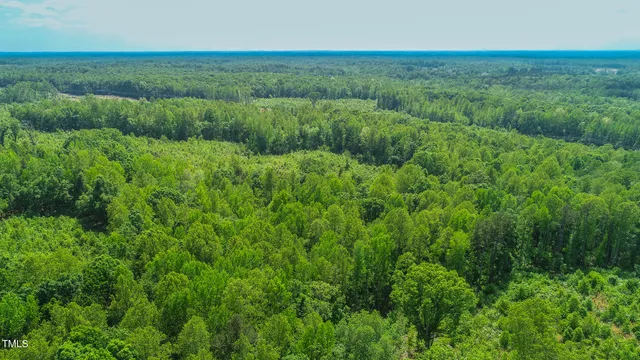 $850,000 | 167.10 Leasburg Road, Roxboro, NC 27573