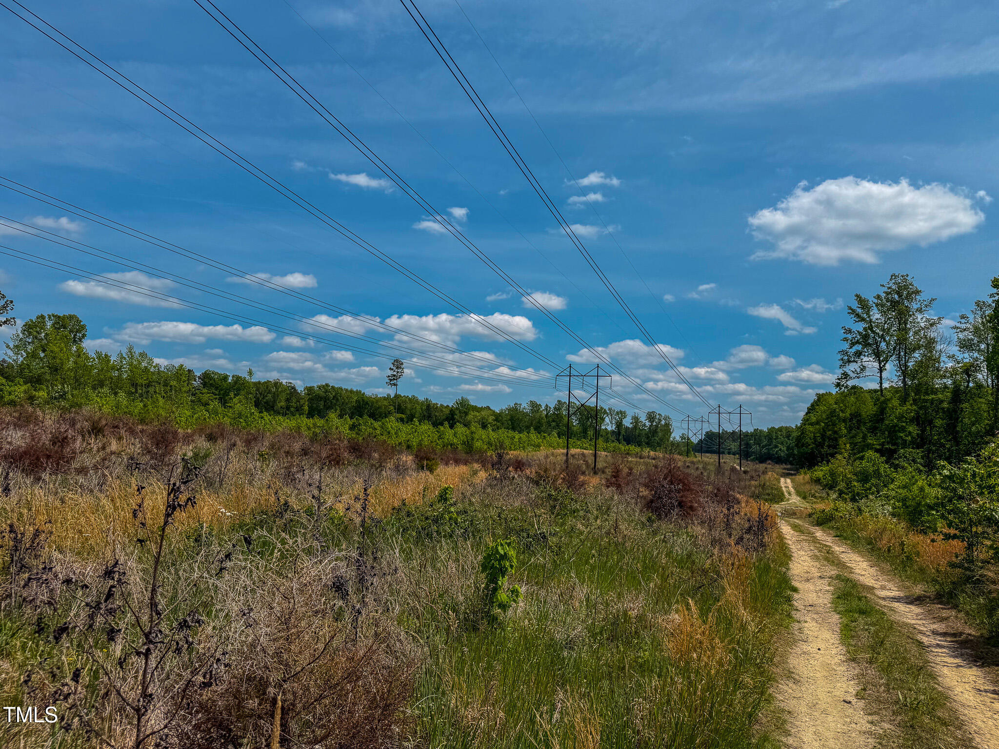 167.10 Leasburg Road Roxboro, NC 27573 - Photo 3 of 26 a view of lake with mountain