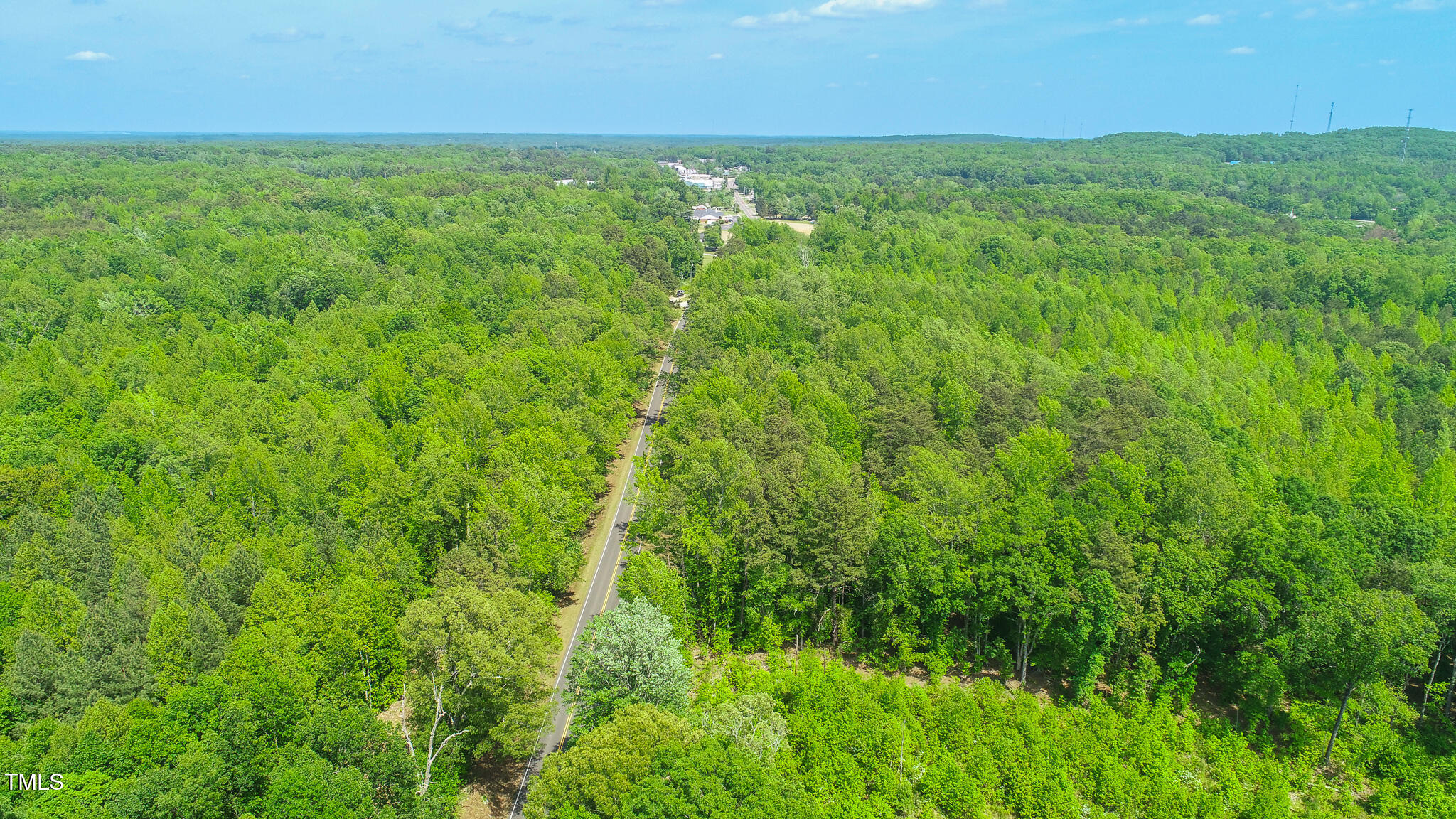 167.10 Leasburg Road Roxboro, NC 27573 - Photo 5 of 26 a view of yard with grass