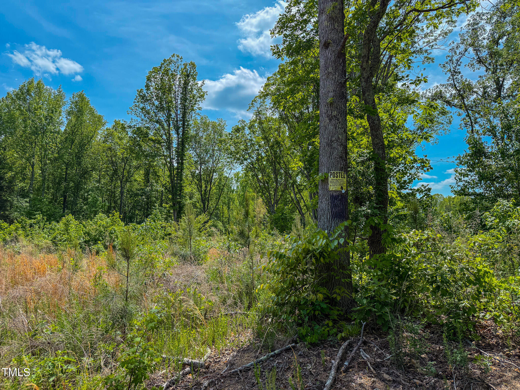 167.10 Leasburg Road Roxboro, NC 27573 - Photo 8 of 26 a view of a garden