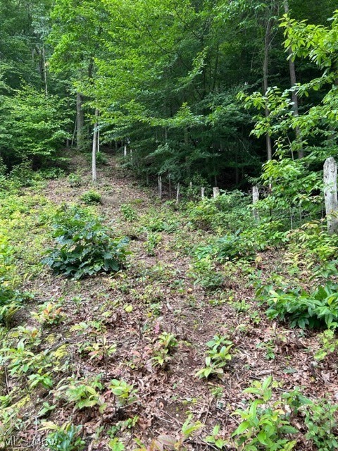 649 Blue Knob Road Maysel, WV 25133 - Photo 7 of 15