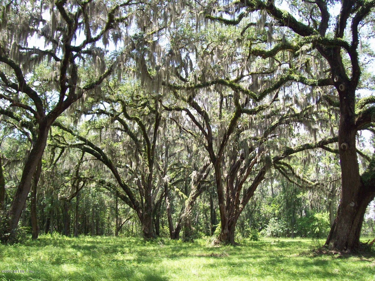 5881 Head Road Fleming Island, FL 32003 - Photo 11 of 17 Head Road