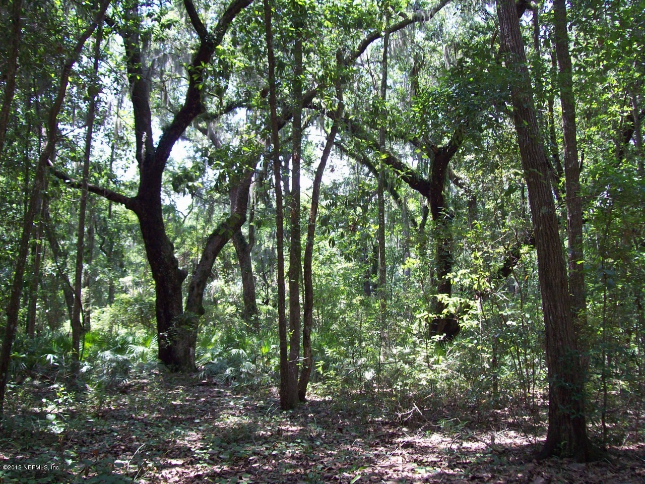 5881 Head Road Fleming Island, FL 32003 - Photo 14 of 17 Head Road