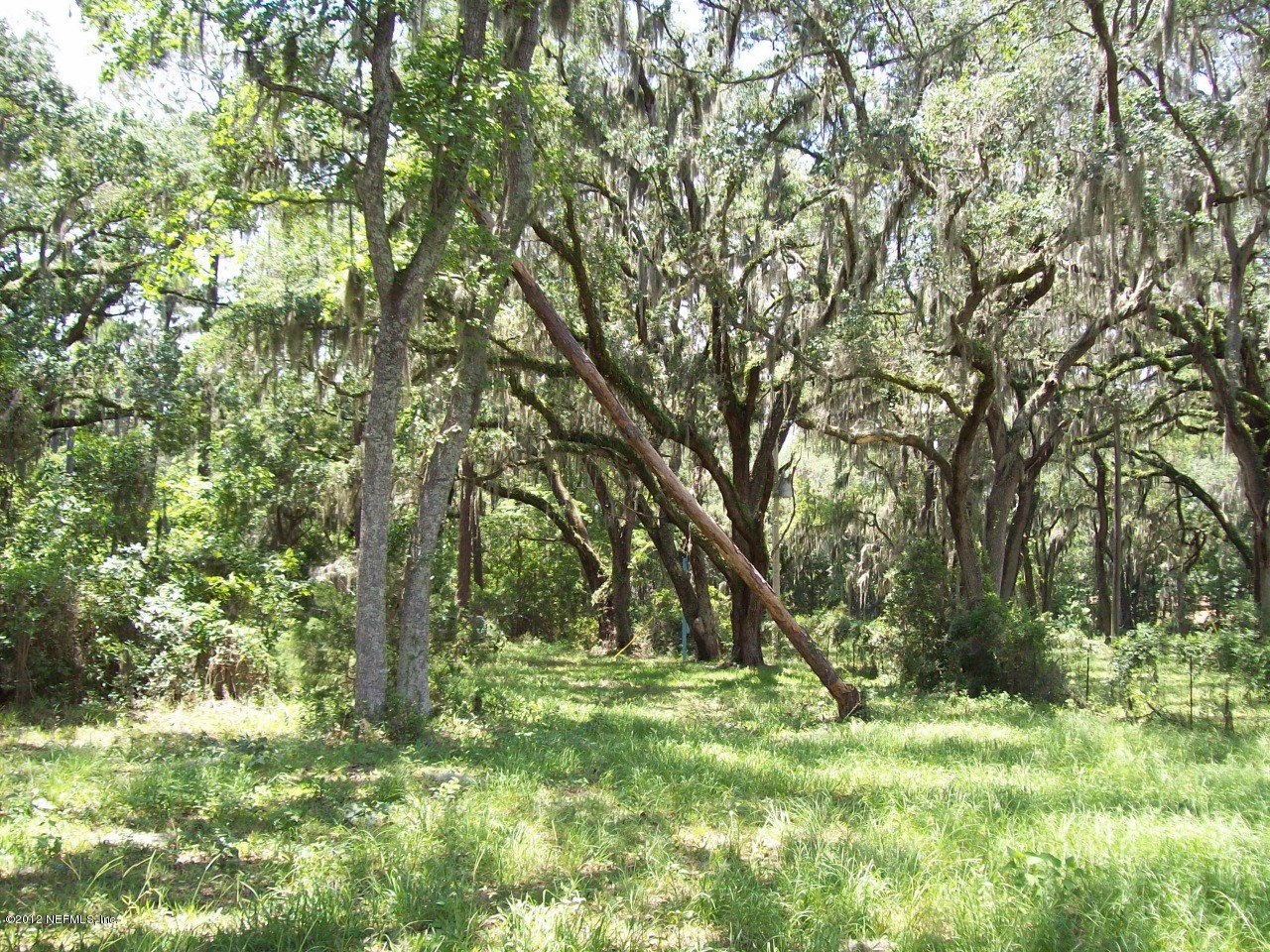 5881 Head Road Fleming Island, FL 32003 - Photo 5 of 17 Head Road