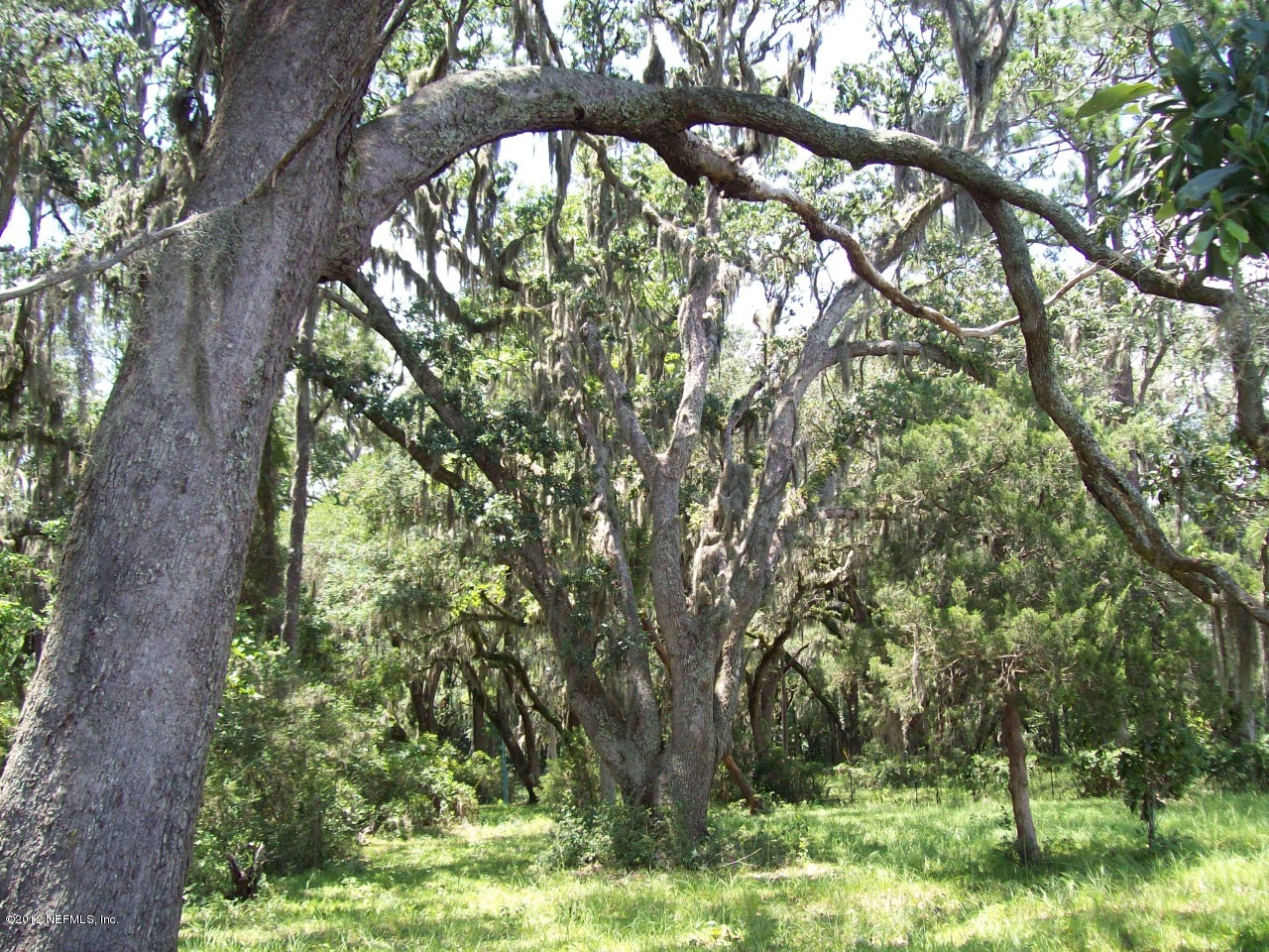 5881 Head Road Fleming Island, FL 32003 - Photo 8 of 17 Head Road