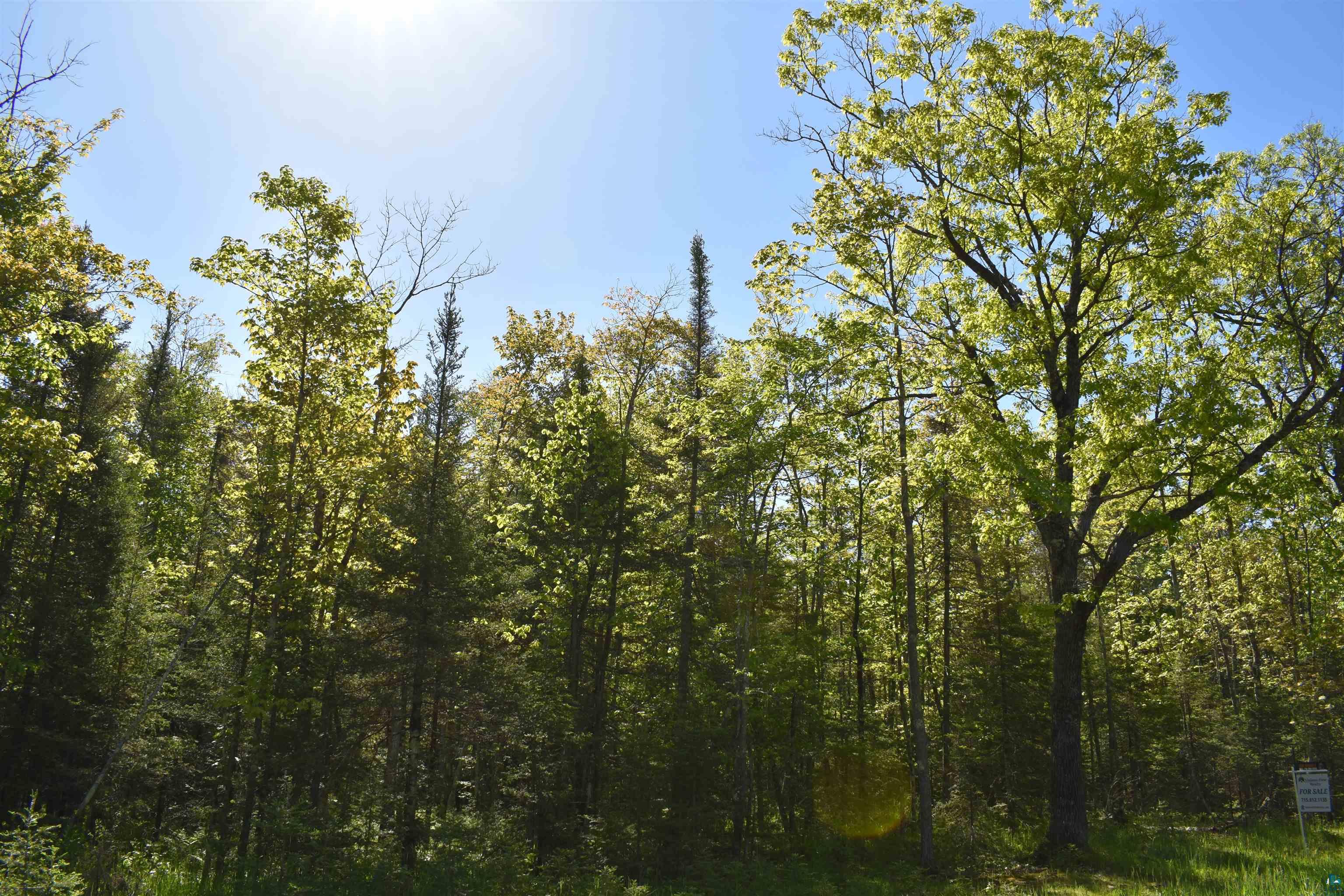 60-xxx Andrew Anderson Road Mason, WI 54856 - Photo 15 of 24 View of nature