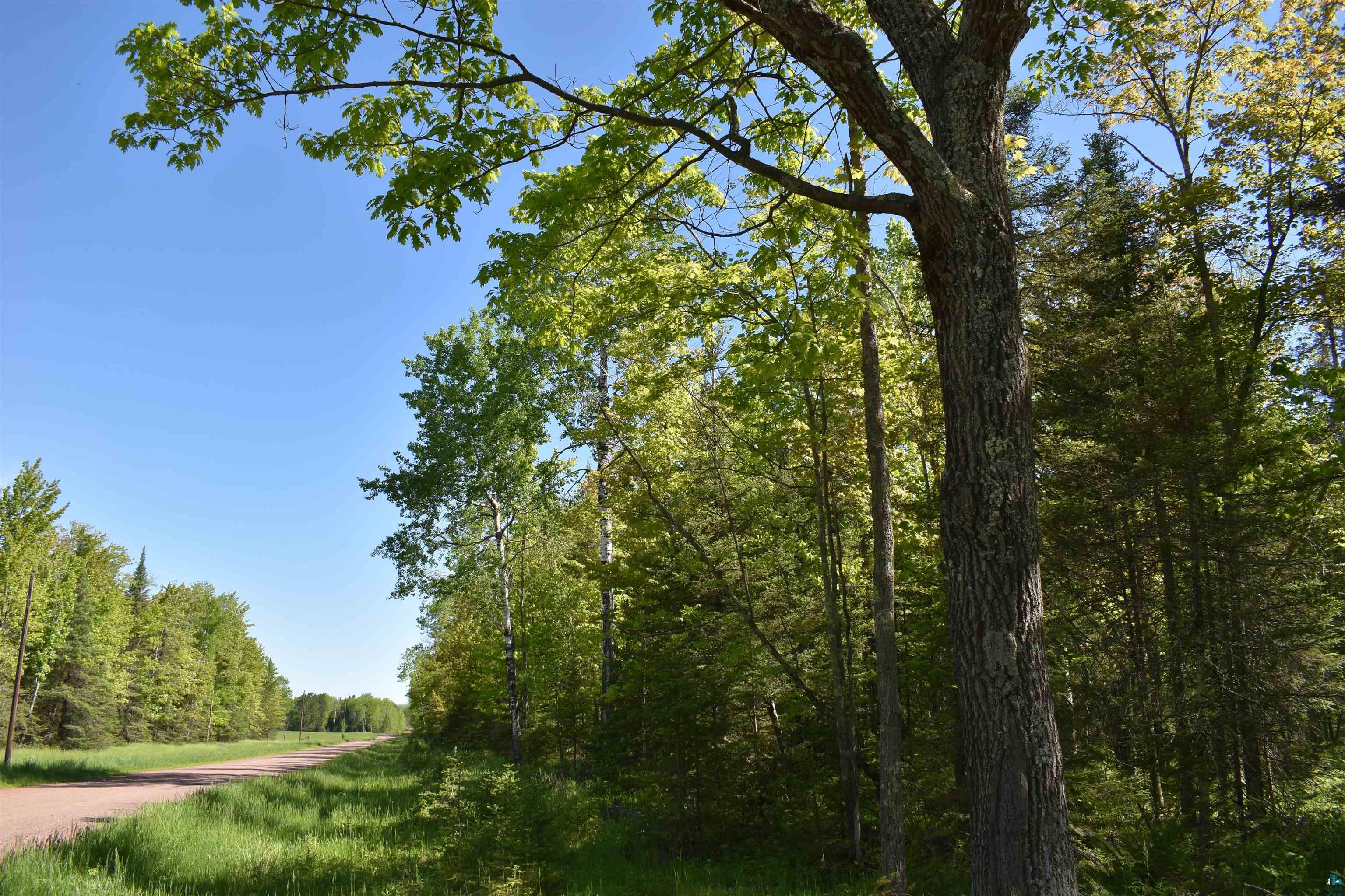 60-xxx Andrew Anderson Road Mason, WI 54856 - Photo 17 of 24 View of nature