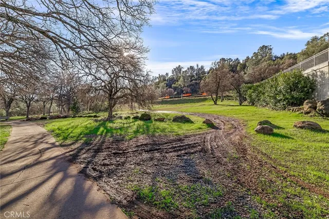 a view of a yard with a house