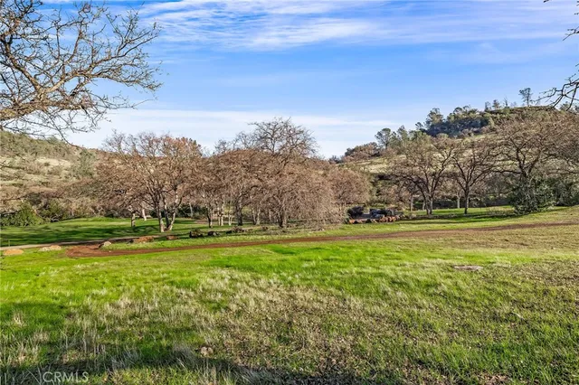 a view of a yard with an outdoor space