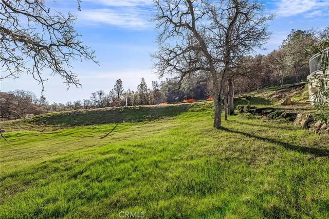 a view of a field with an ocean