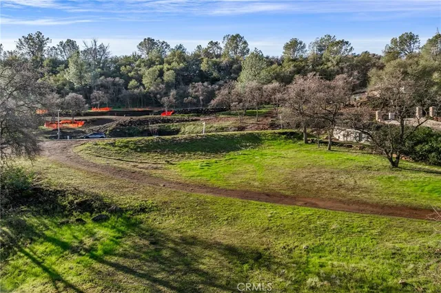a view of a garden with a pathway