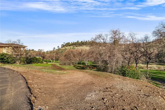 a view of a dry yard with wooden fence