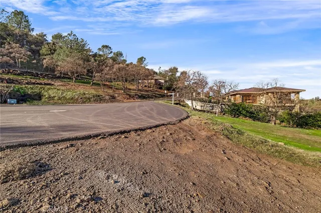 a view of a big yard with large trees