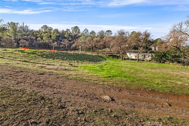 a view of a field with an trees