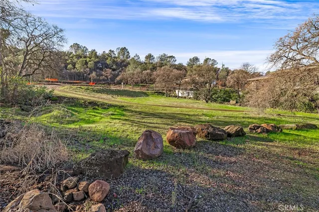 a view of a park with large trees