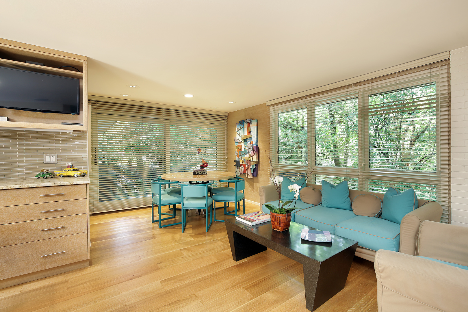 195 Franklin Road Glencoe, IL 60022 - Photo 12 of 33 a living room with furniture and a flat screen tv