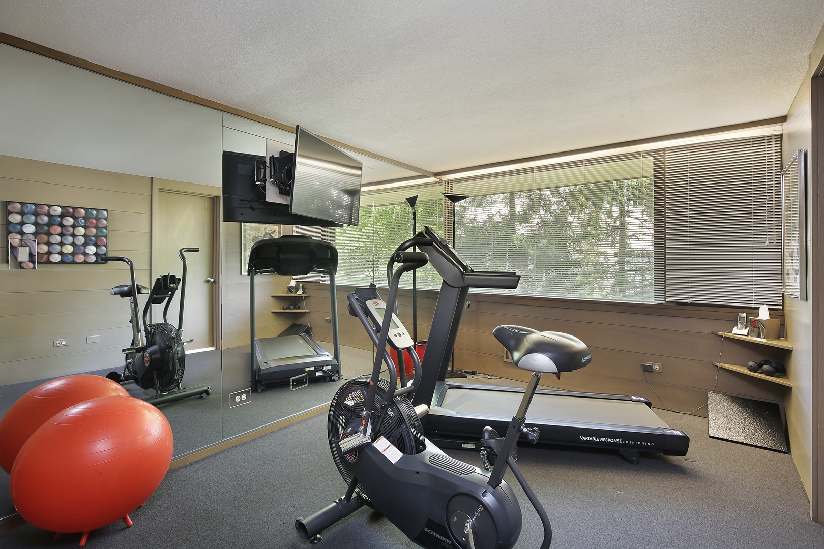 195 Franklin Road Glencoe, IL 60022 - Photo 19 of 33 a room with gym equipment