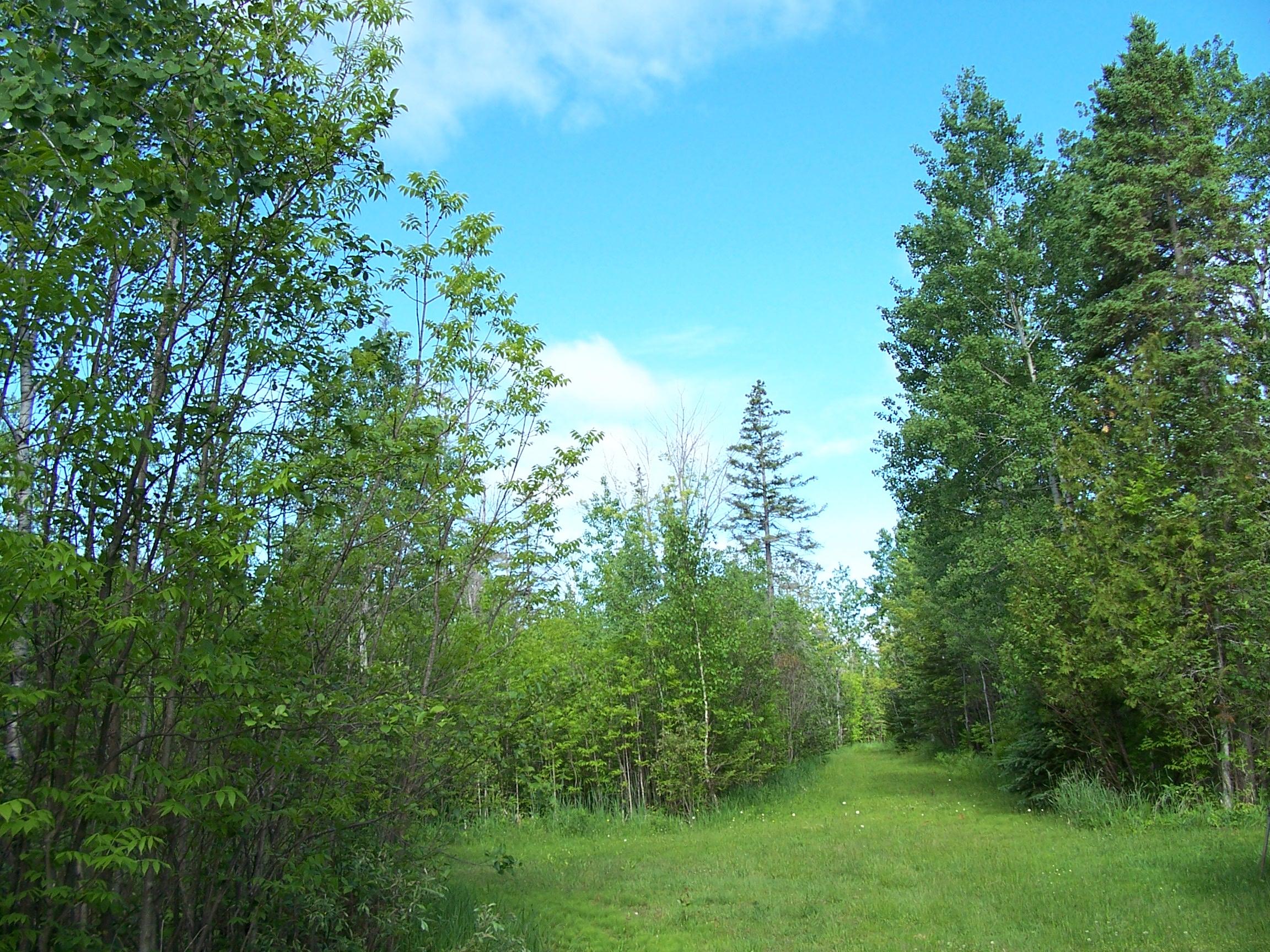 13997 Goebel Road Cheboygan, MI 49721 - Photo 31 of 54 Gallery Image 31
