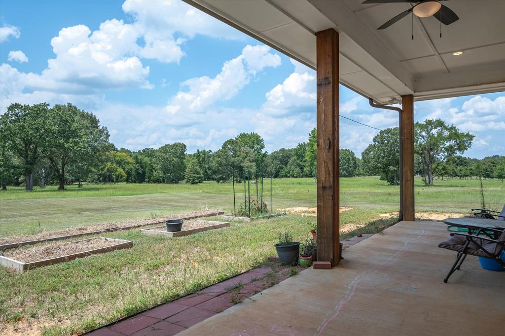 1461 VZ County Road Ben Wheeler, TX 75754 - Photo 38 of 40