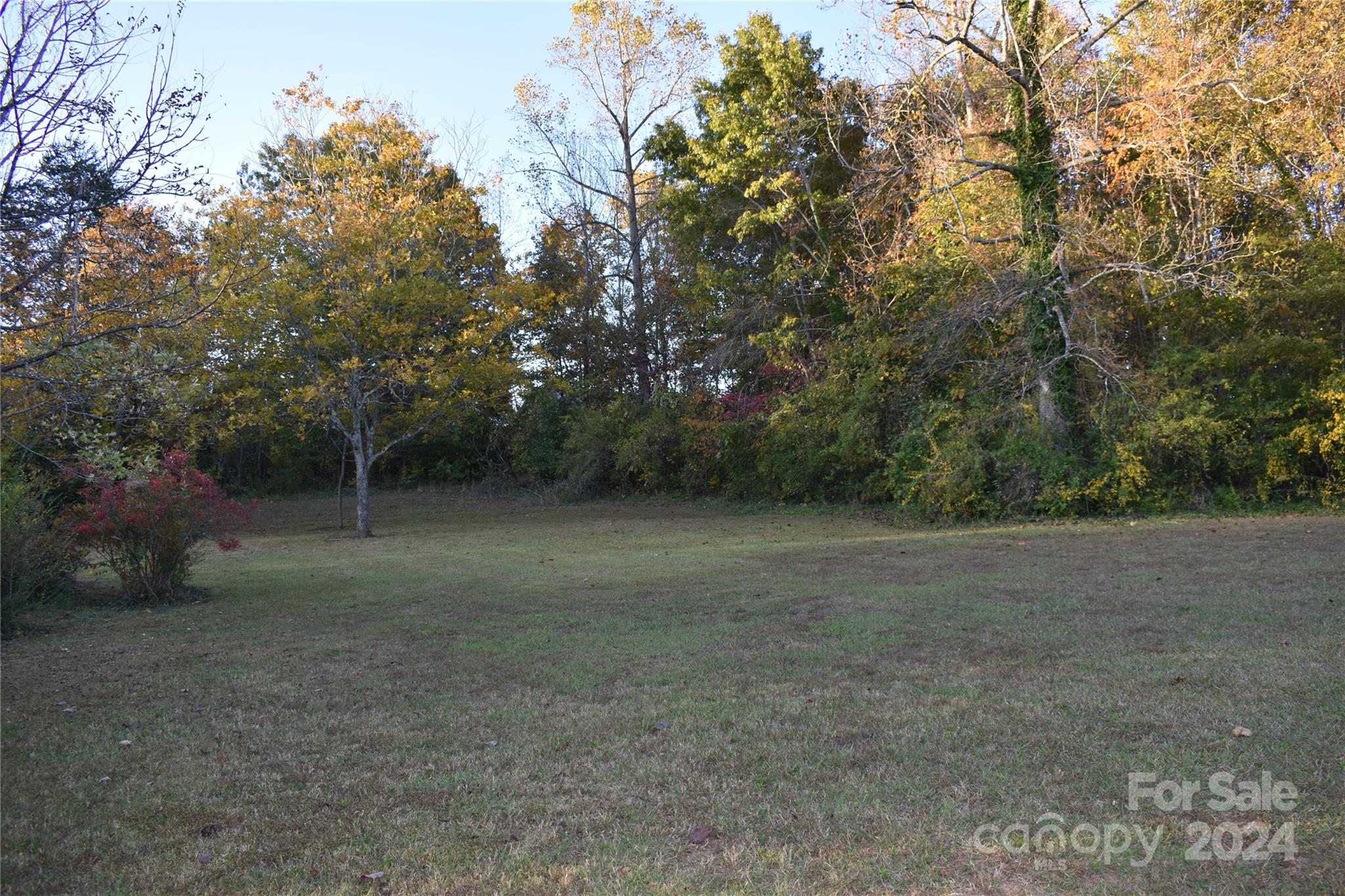 25 Cypress Road Marion, NC 28752 - Photo 40 of 48 a view of a field with trees in background