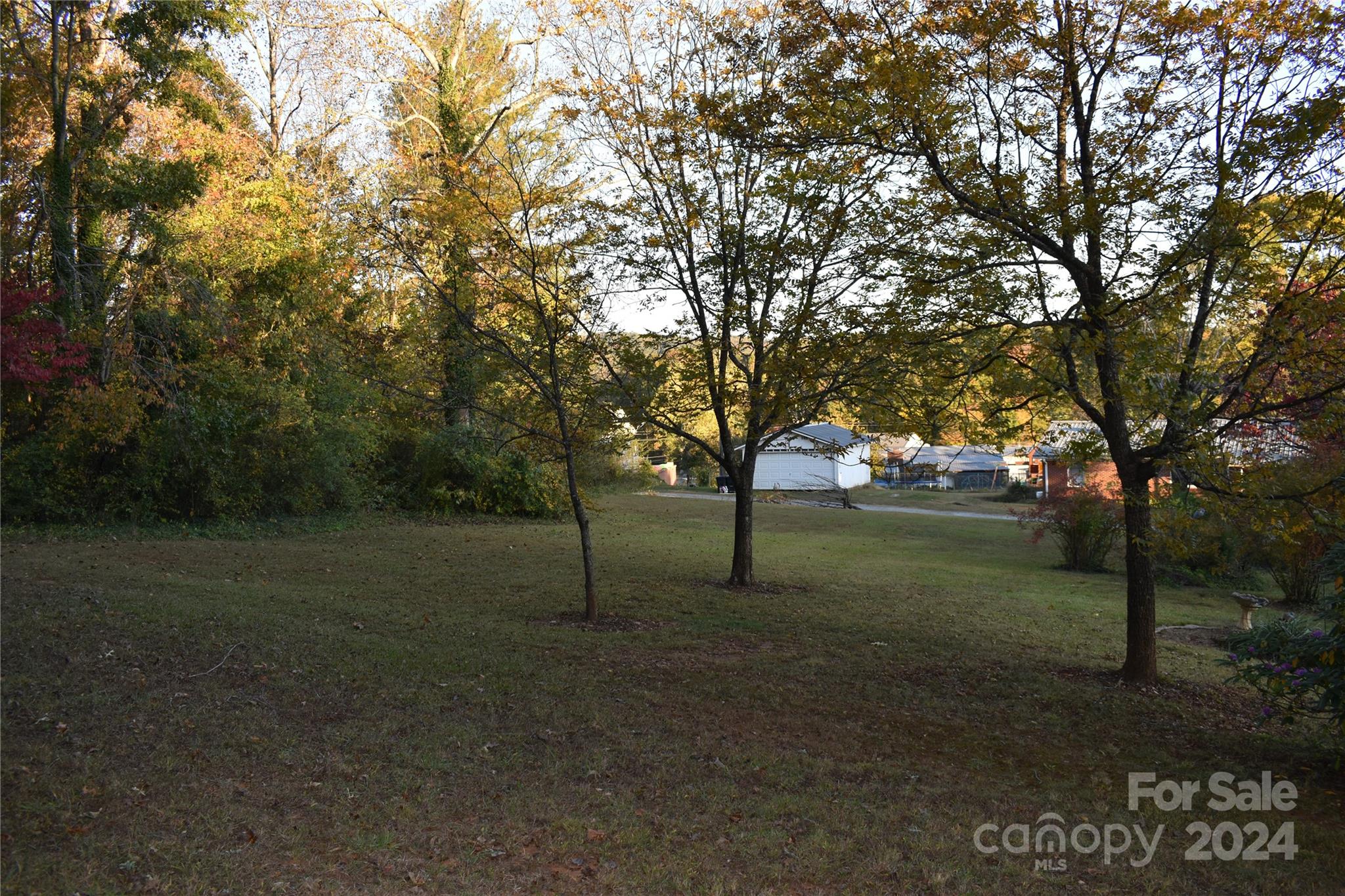25 Cypress Road Marion, NC 28752 - Photo 43 of 48 a view of dirt yard with a trees