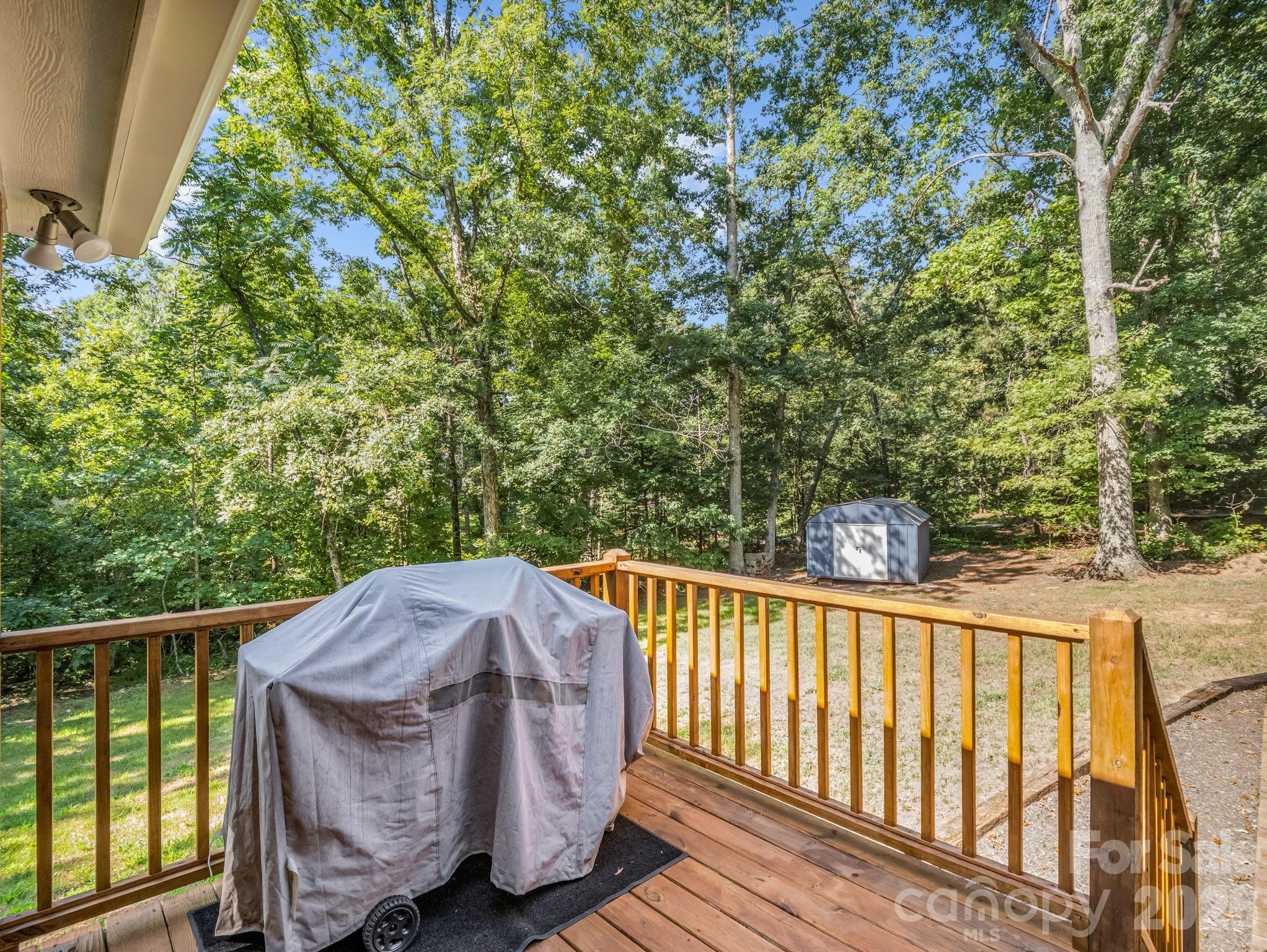 1120 Sandy Plains Road Tryon, NC 28782 - Photo 30 of 39 Gallery Image 30