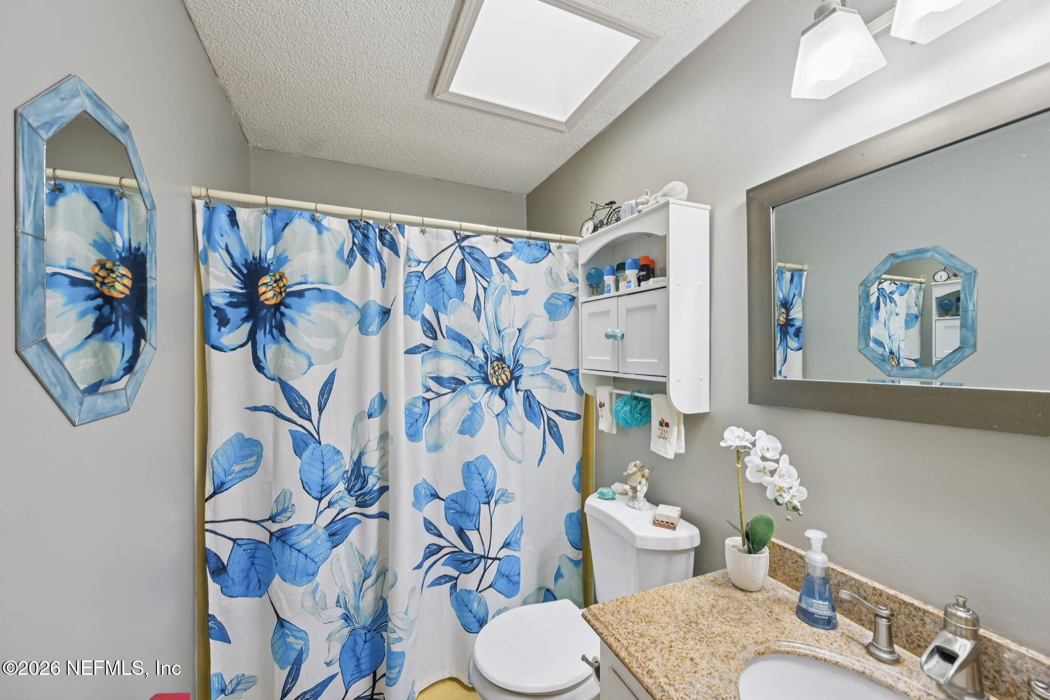 2749 Richards Road Orange Park, FL 32073 - Photo 15 of 26 a bathroom with a sink mirror vanity and toilet