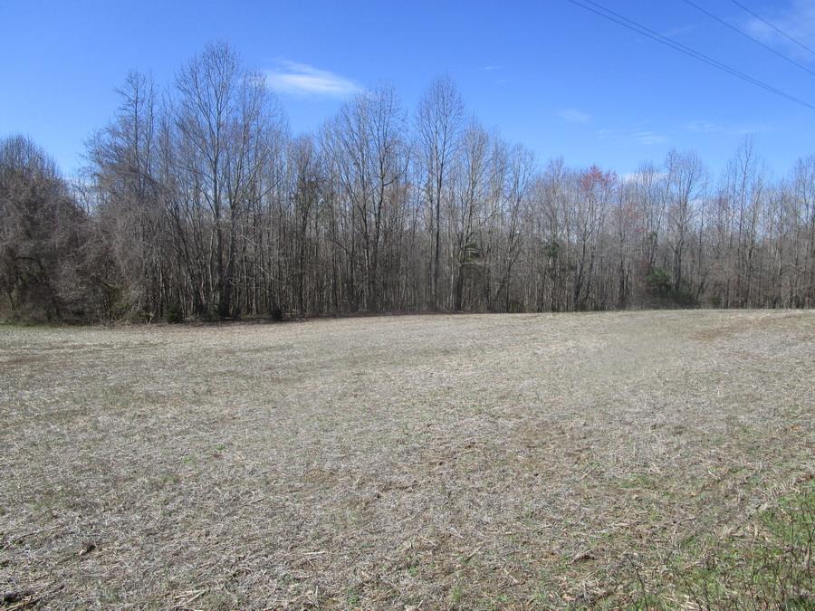 605 Switch Back Road Kenbridge, VA 23944 - Photo 1 of 1 Gallery Image 1