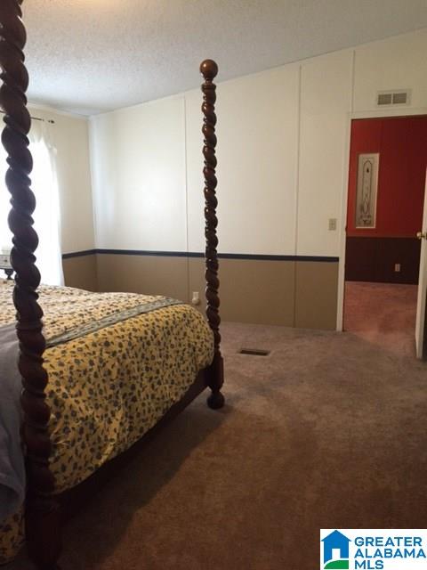 108 Brown-Hill Road Steele, AL 35987 - Photo 12 of 24