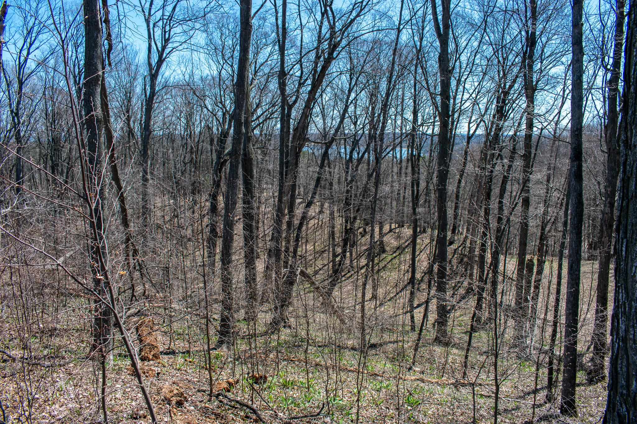 0 East Smiseth Road Suttons Bay, MI 49682 - Photo 24 of 67