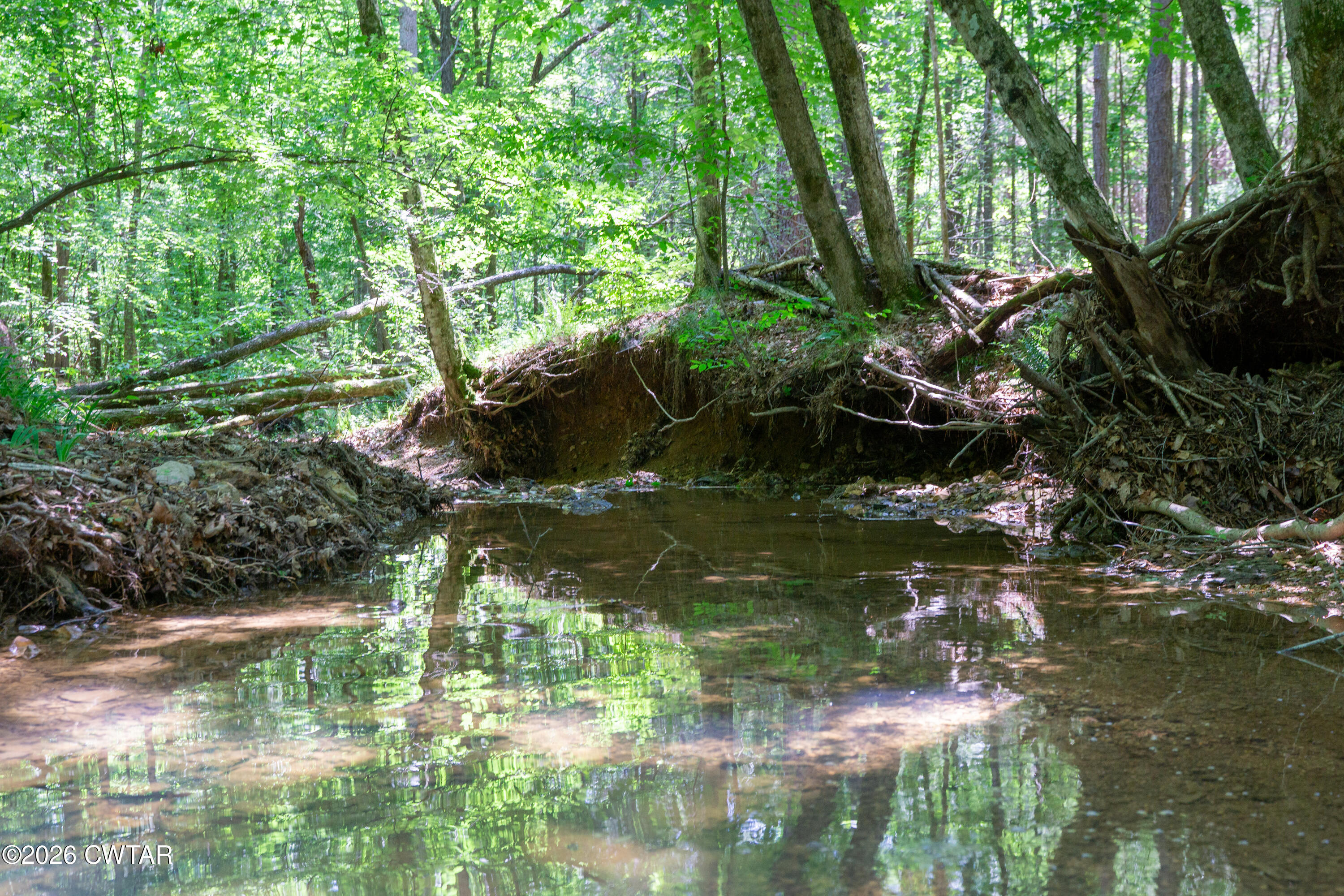 0 Walter Mills Road Sugar Tree, TN 38380 - Photo 7 of 15 _DSC2562
