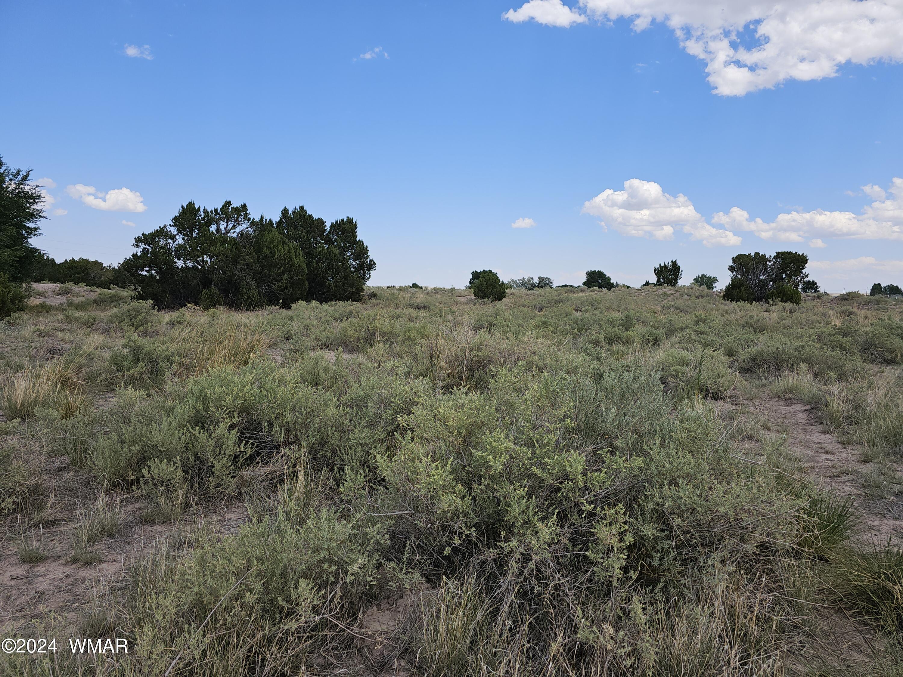 Tbd School Bus Road Eagar, AZ 85925 - Photo 11 of 20 20240715_114818