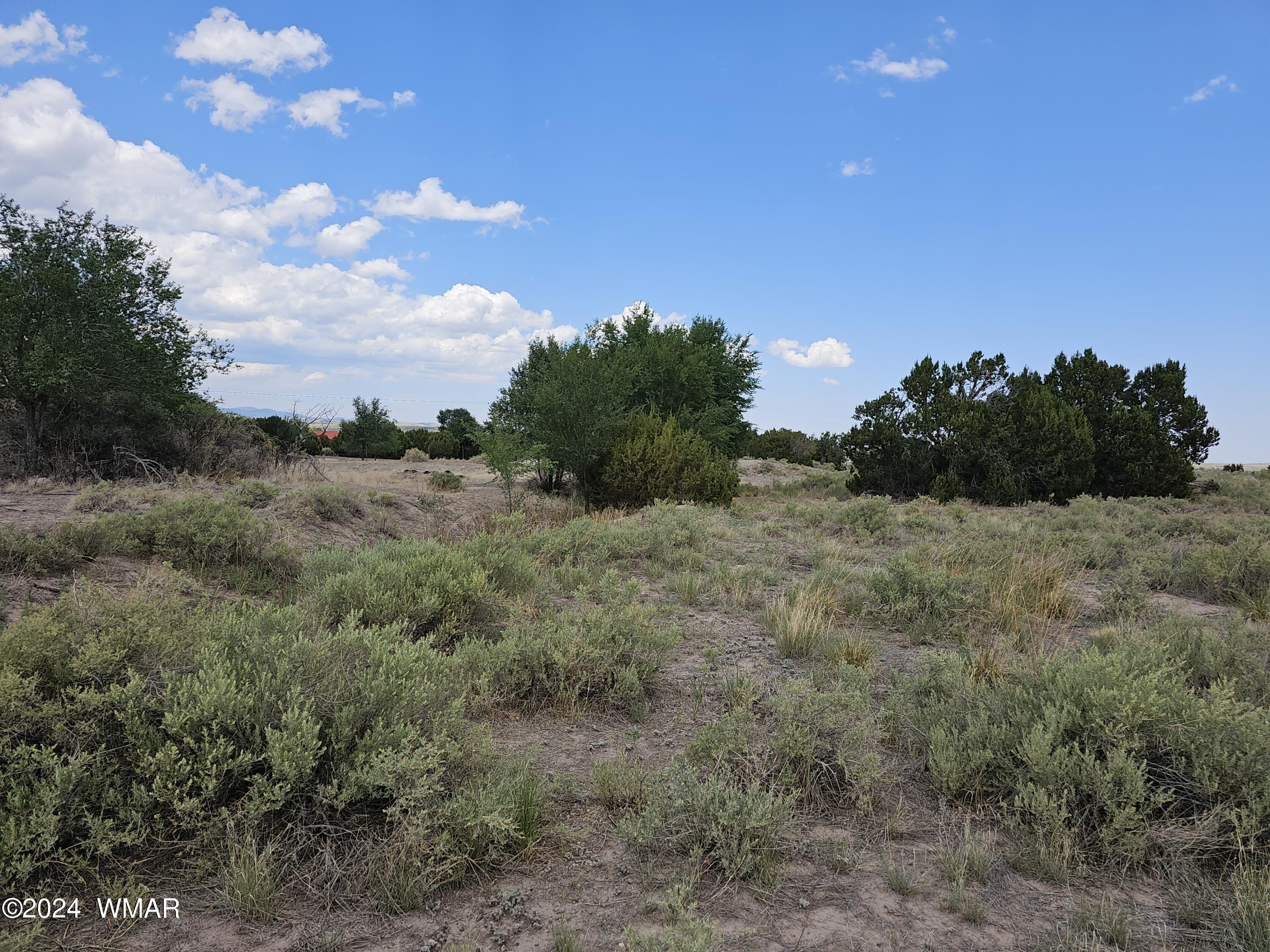 Tbd School Bus Road Eagar, AZ 85925 - Photo 12 of 20 20240715_114827