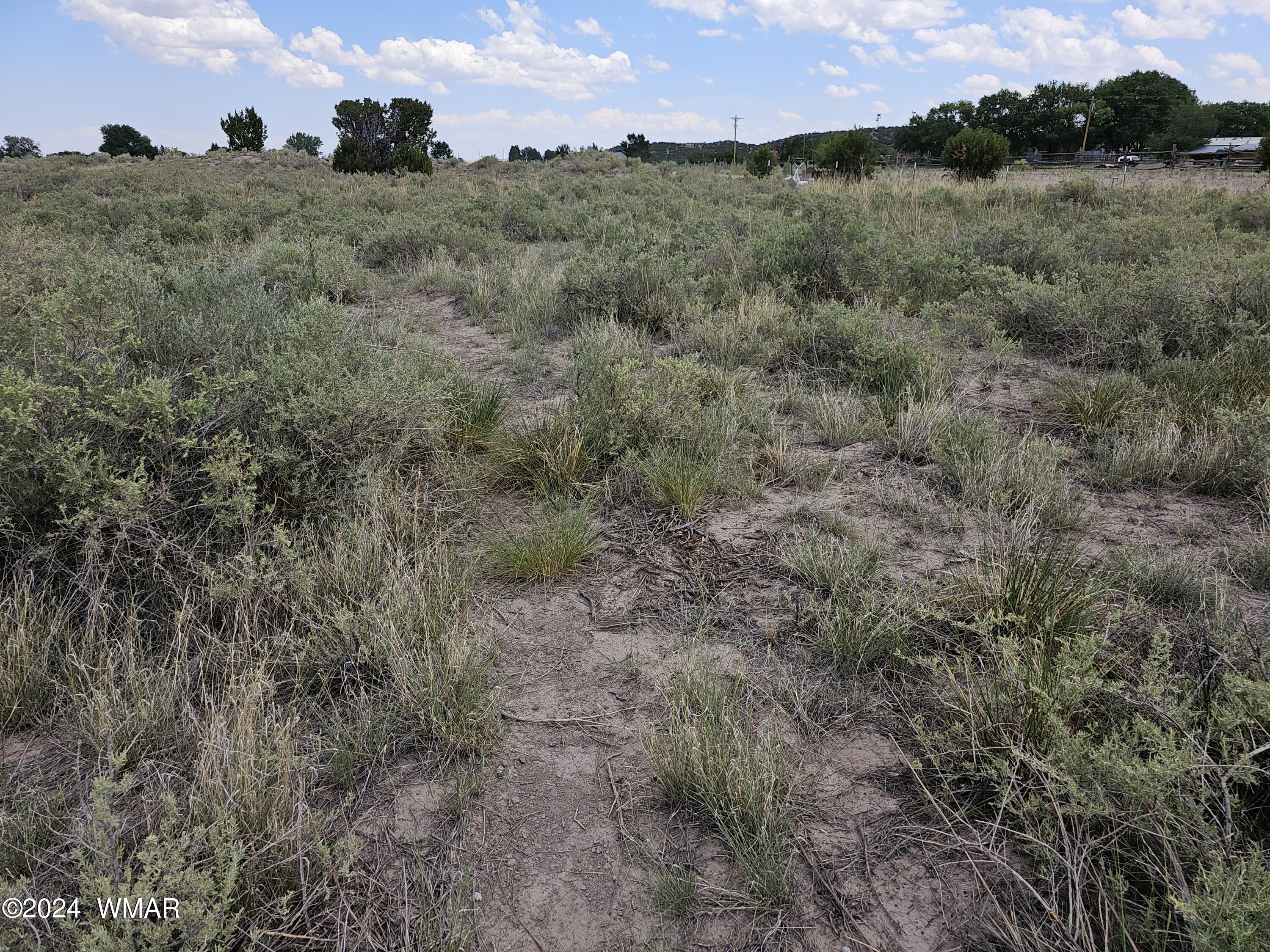 Tbd School Bus Road Eagar, AZ 85925 - Photo 13 of 20 20240715_114839