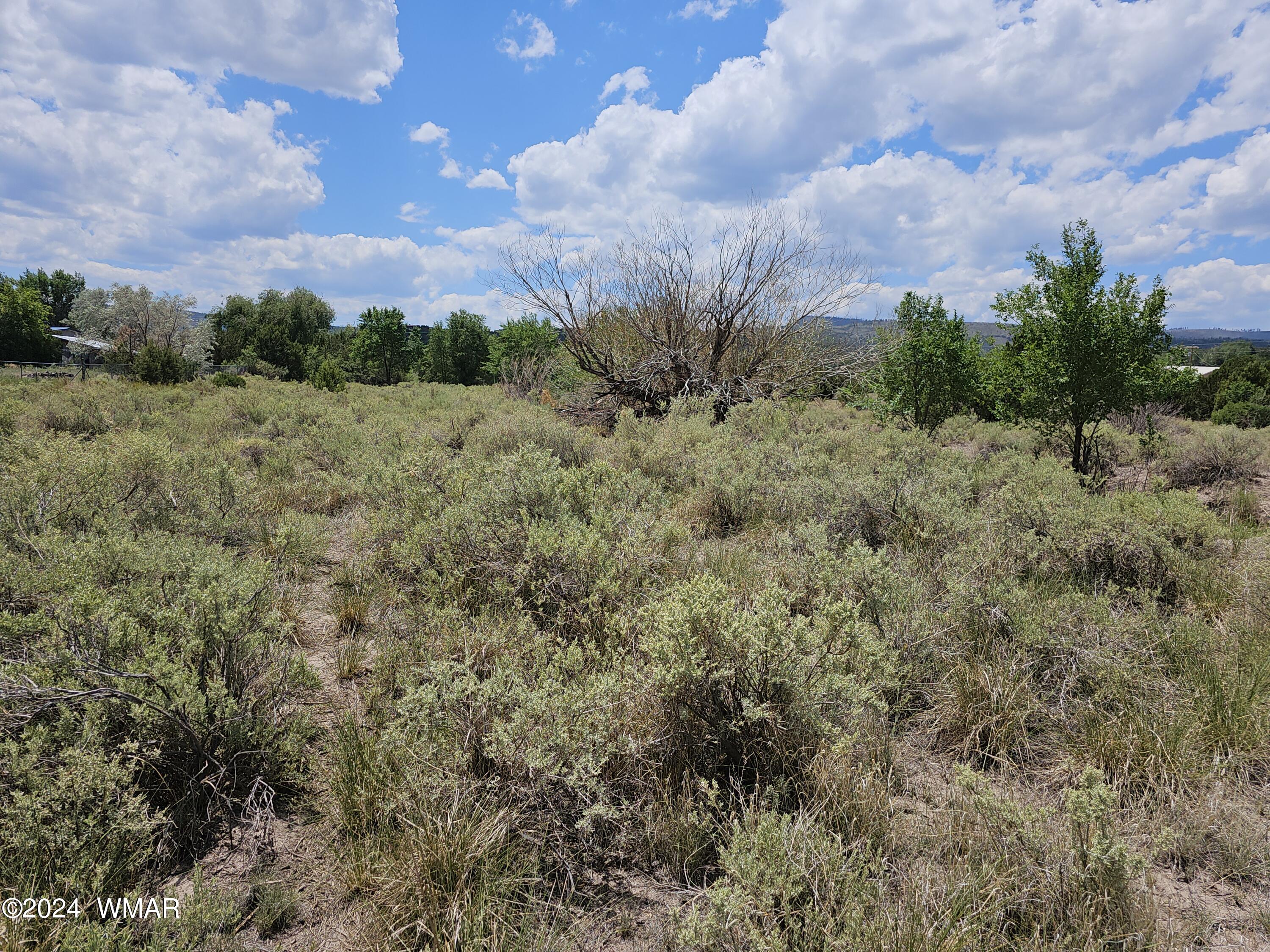 Tbd School Bus Road Eagar, AZ 85925 - Photo 14 of 20 20240715_114856
